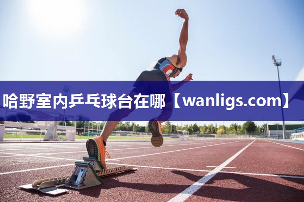哈野室内乒乓球台在哪