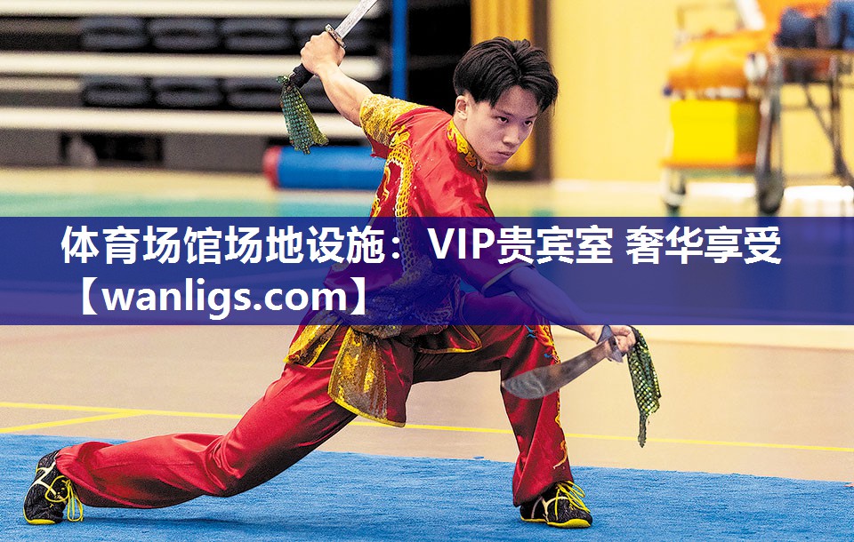 体育场馆场地设施：VIP贵宾室 奢华享受