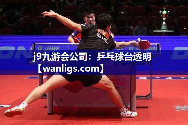 j9九游会公司：乒乓球台透明
