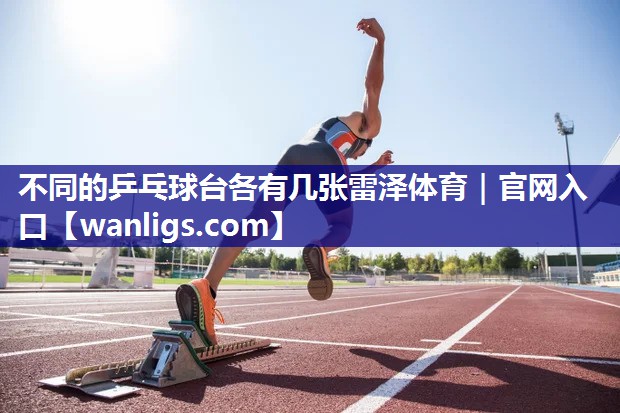 不同的乒乓球台各有几张雷泽体育｜官网入口