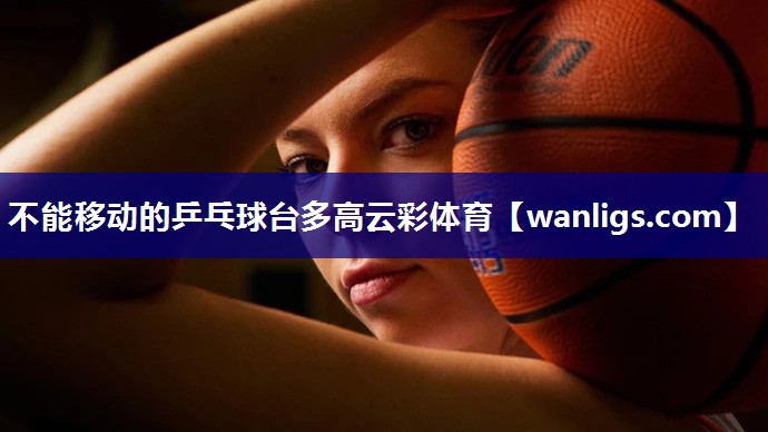 不能移动的乒乓球台多高云彩体育