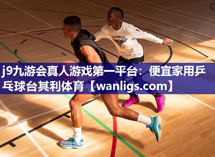 j9九游会真人游戏第一平台：便宜家用乒乓球台其利体育