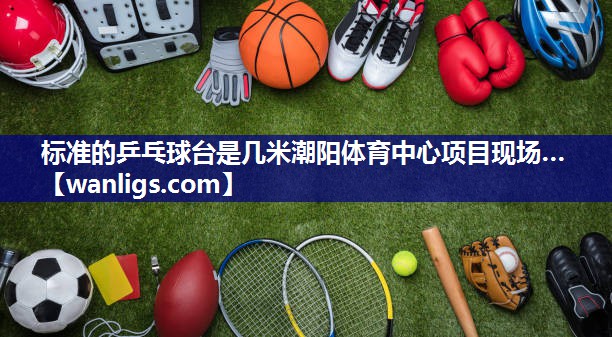 标准的乒乓球台是几米潮阳体育中心项目现场…