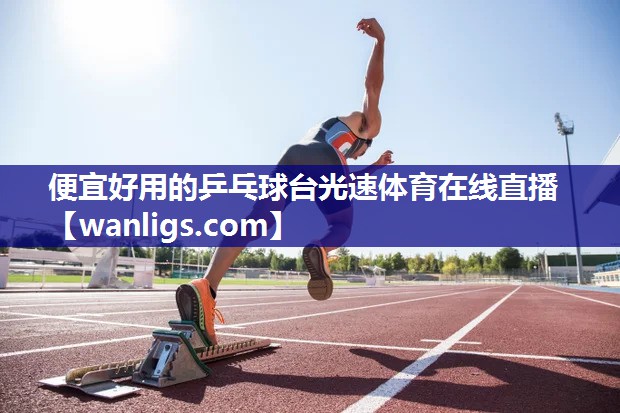便宜好用的乒乓球台光速体育在线直播