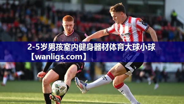 2-5岁男孩室内健身器材体育大球小球