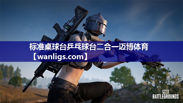 标准桌球台乒乓球台二合一迈博体育