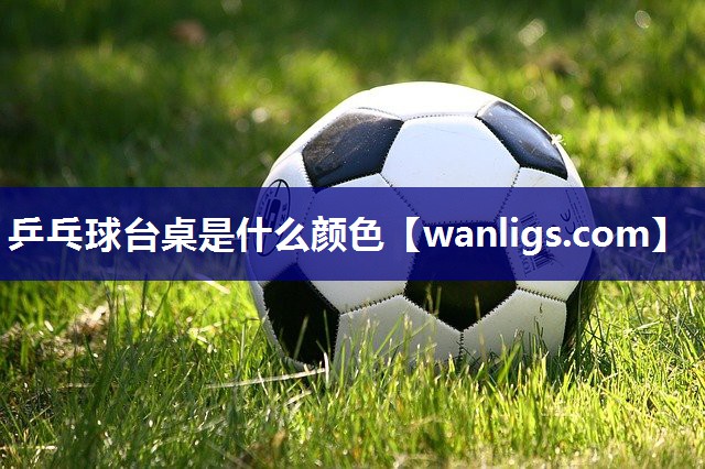 乒乓球台桌是什么颜色