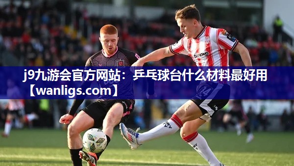 乒乓球台什么材料最好用