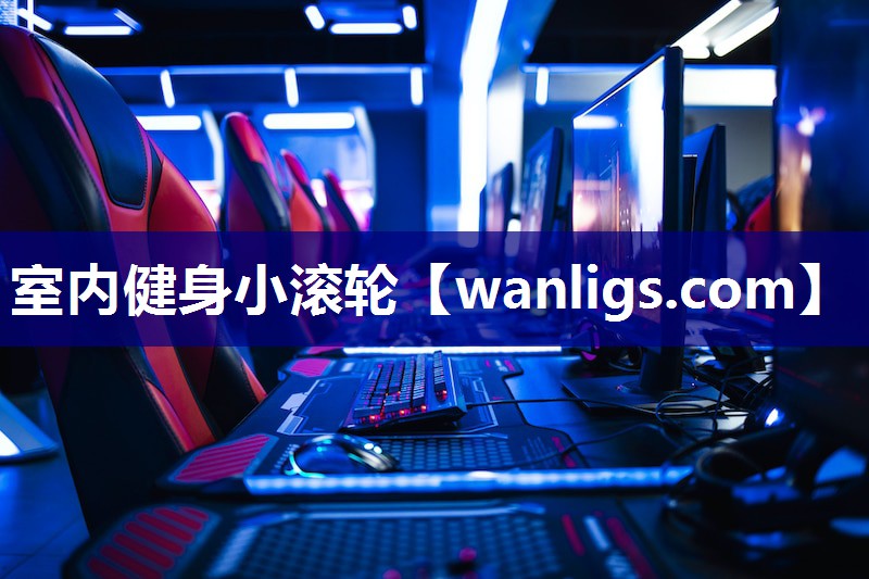 室内健身小滚轮