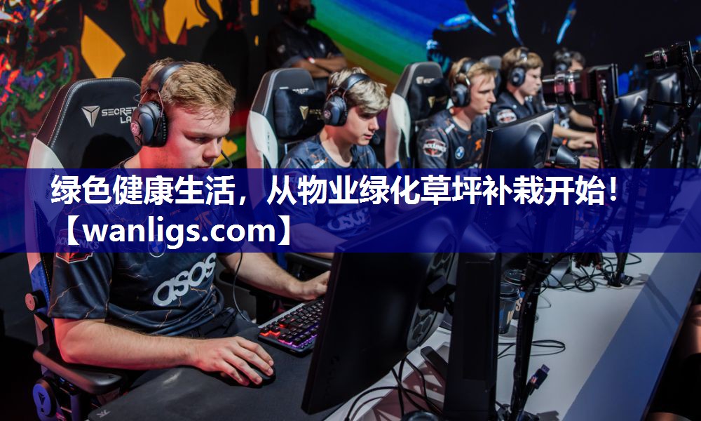 绿色健康生活，从物业绿化草坪补栽开始！