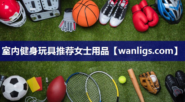 室内健身玩具推荐女士用品