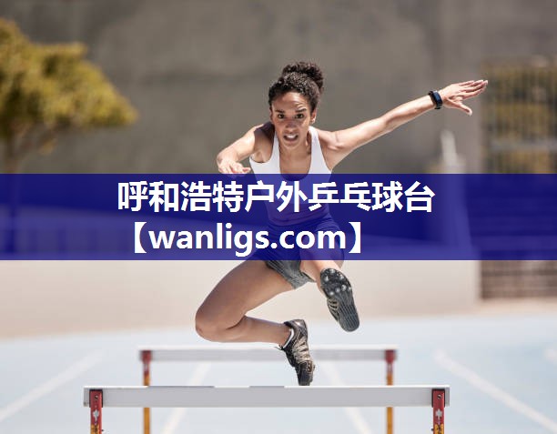 呼和浩特户外乒乓球台