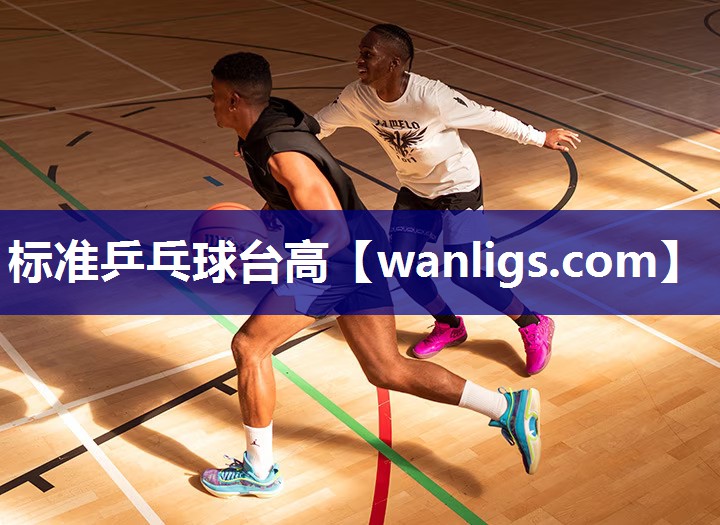 标准乒乓球台高
