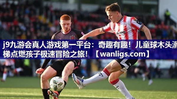 j9九游会真人游戏第一平台：奇趣有趣！儿童球木头滑梯点燃孩子极速冒险之旅！
