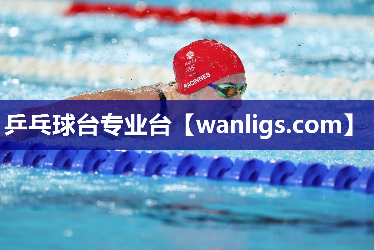 乒乓球台专业台